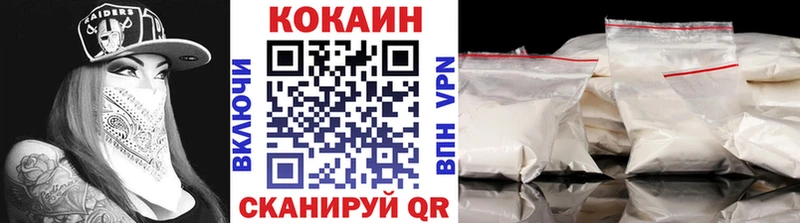 купить наркотик  Рузаевка  Cocaine Fish Scale 