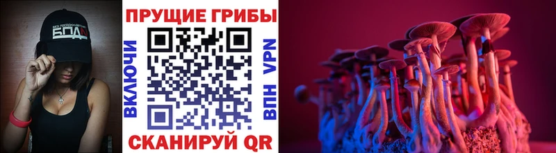 Псилоцибиновые грибы прущие грибы Рузаевка